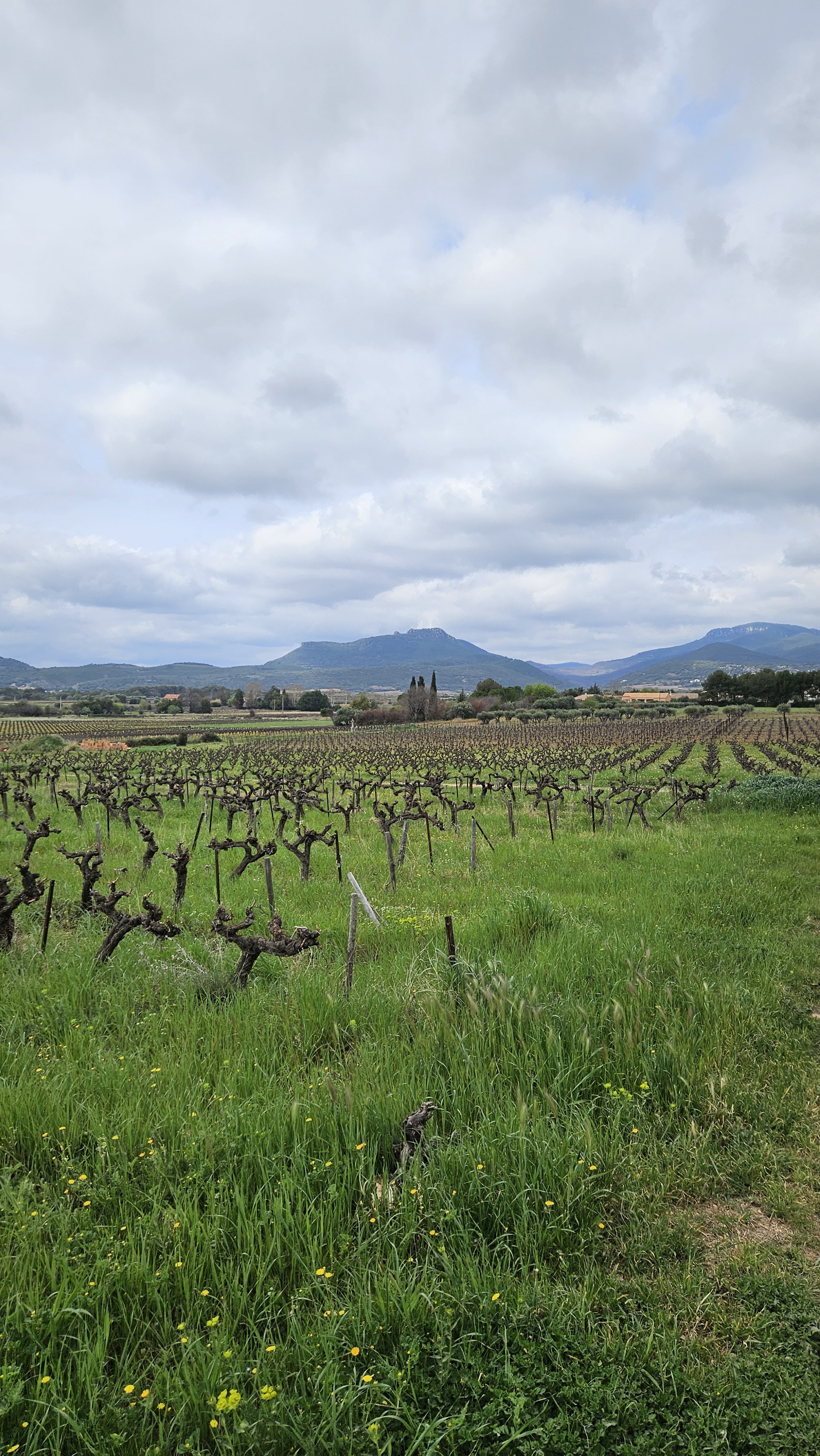 Photo n° 2 de l'avis de Baptiste.o fait le 20/03/2024 à 16:54