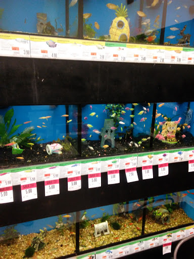 Pet Supply Store «Pet Supplies Plus», reviews and photos, 4488 Commercial Dr, New Hartford, NY 13413, USA