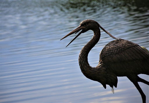 Park «Heritage Park», reviews and photos, 600 Spinks Rd, Flower Mound, TX 75028, USA