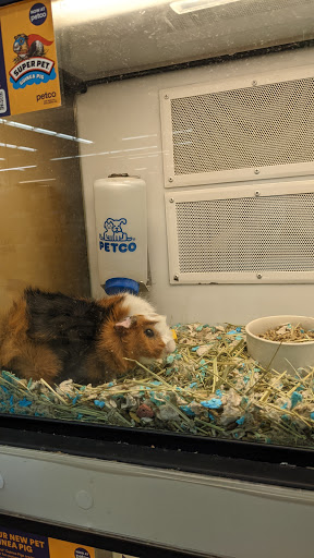 Pet Supply Store «Petco Animal Supplies», reviews and photos, 10315 E Shelby Dr, Collierville, TN 38017, USA