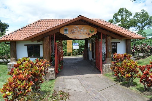 Doka Estate Costa Rica Coffee Tour & Plantation