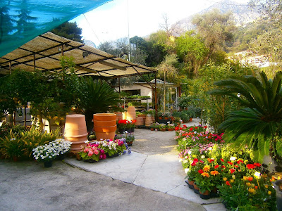 Menton Pépinière à Menton