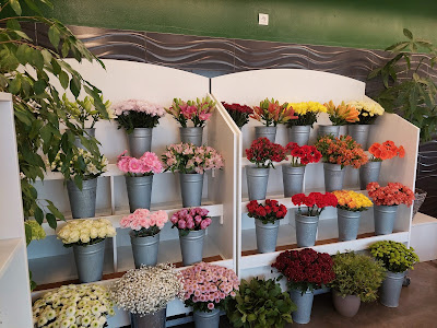 Agath' et Fleurs à Agde