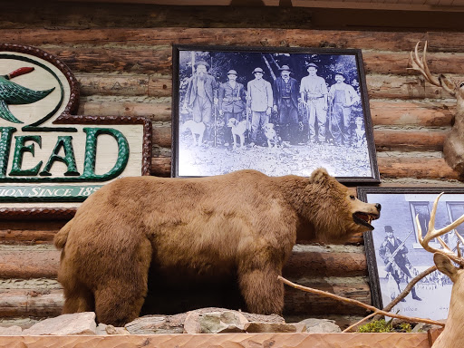 Sporting Goods Store «Bass Pro Shops», reviews and photos, 5900 Sugarloaf Pkwy, Lawrenceville, GA 30043, USA