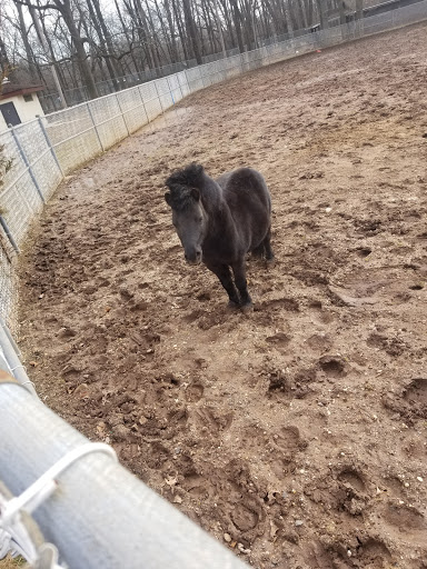 Pet Supply Store «PetSmart», reviews and photos, 4180 US-1, Monmouth Junction, NJ 08852, USA