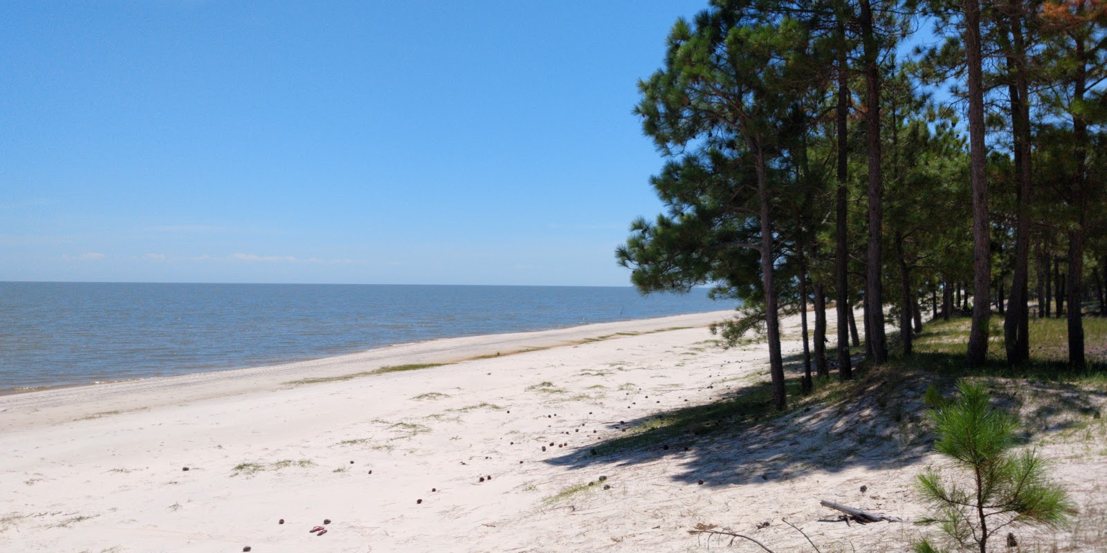 Foto von Balneario Lagoa Dos Patos Beach mit beiger sand Oberfläche