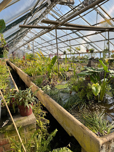 Pond Supply Store «Waterford Gardens», reviews and photos, 74 E Allendale Rd, Saddle River, NJ 07458, USA