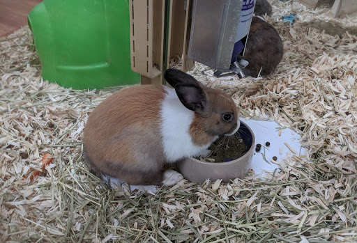 Pet Supply Store «Pet Supermarket», reviews and photos, 3316 Battleground Ave, Greensboro, NC 27410, USA