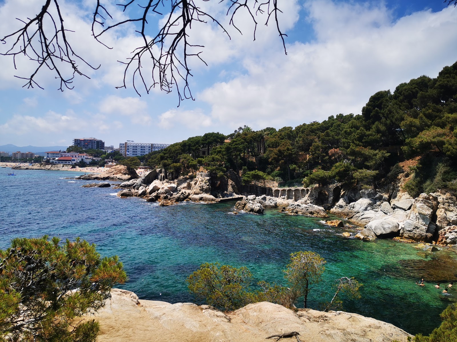 Foto di Cala del Pi con molto pulita livello di pulizia