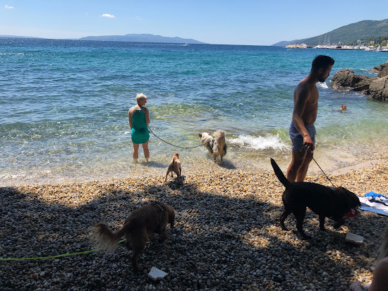 Dog Beach Opatija