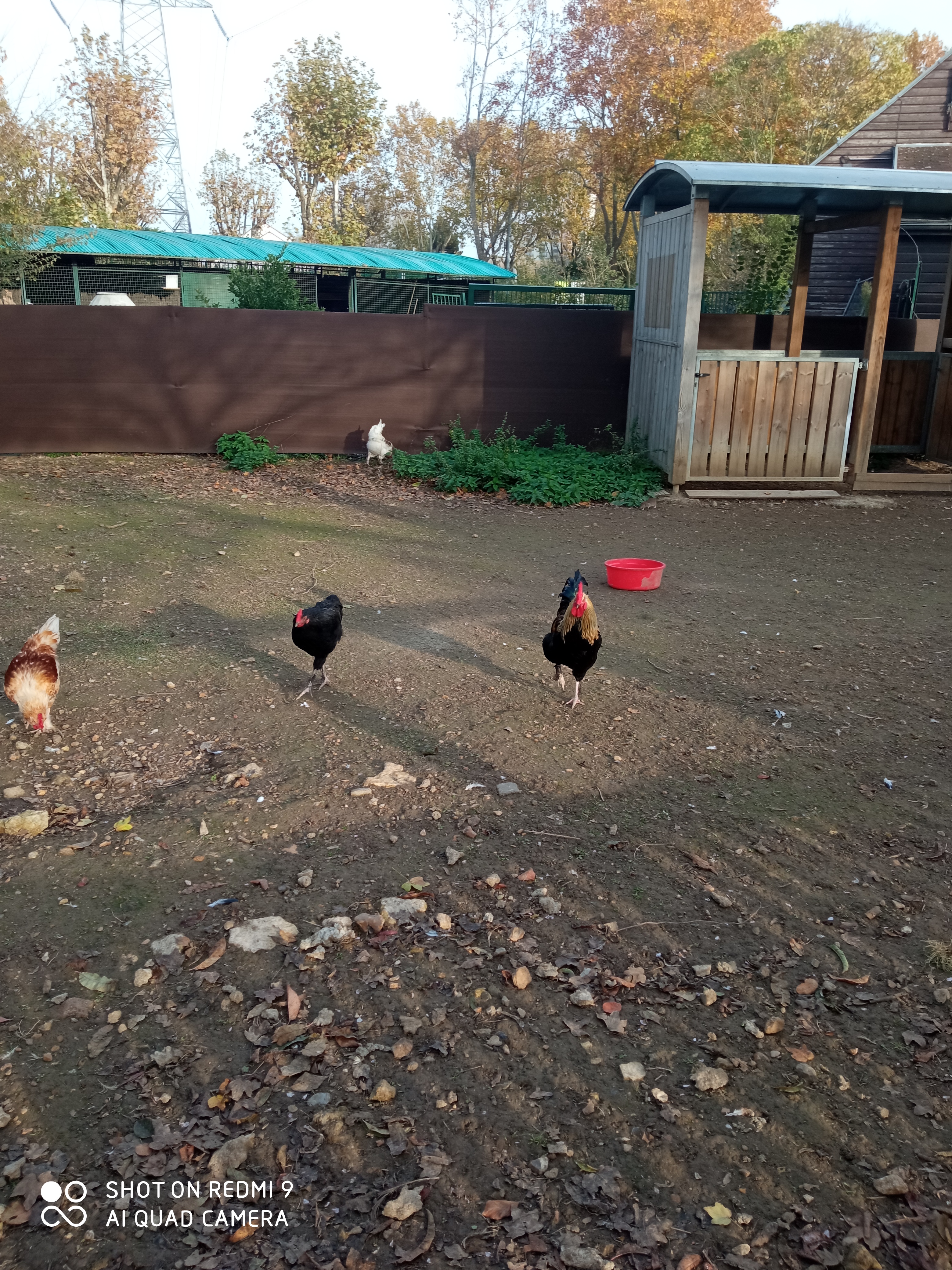 Photo n° 5 de l'avis de reseauoutremer.2 fait le 07/11/2020 à 18:39