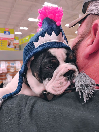 Pet Supply Store «PetSmart», reviews and photos, 11132 Abercorn St, Savannah, GA 31419, USA