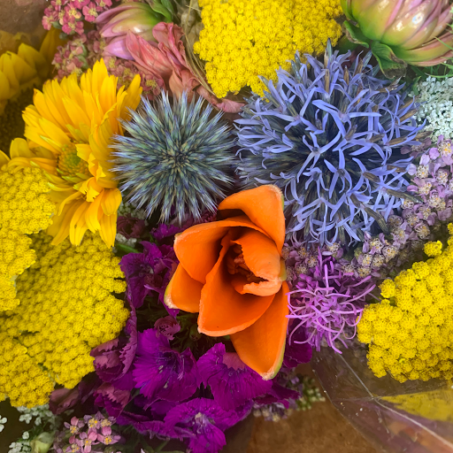 Florist «Bruce Flowers», reviews and photos, 454 Main Ave, Norwalk, CT 06851, USA