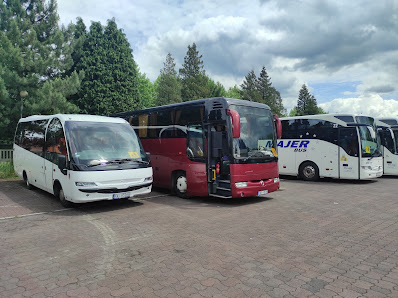 Globbo - podróże i transport Zakamienica 9/6, 33-300 Nowy Sącz, Polska