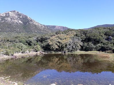 Laguna de El Picacho 11180 Alcalá de los Gazules, Cádiz, España