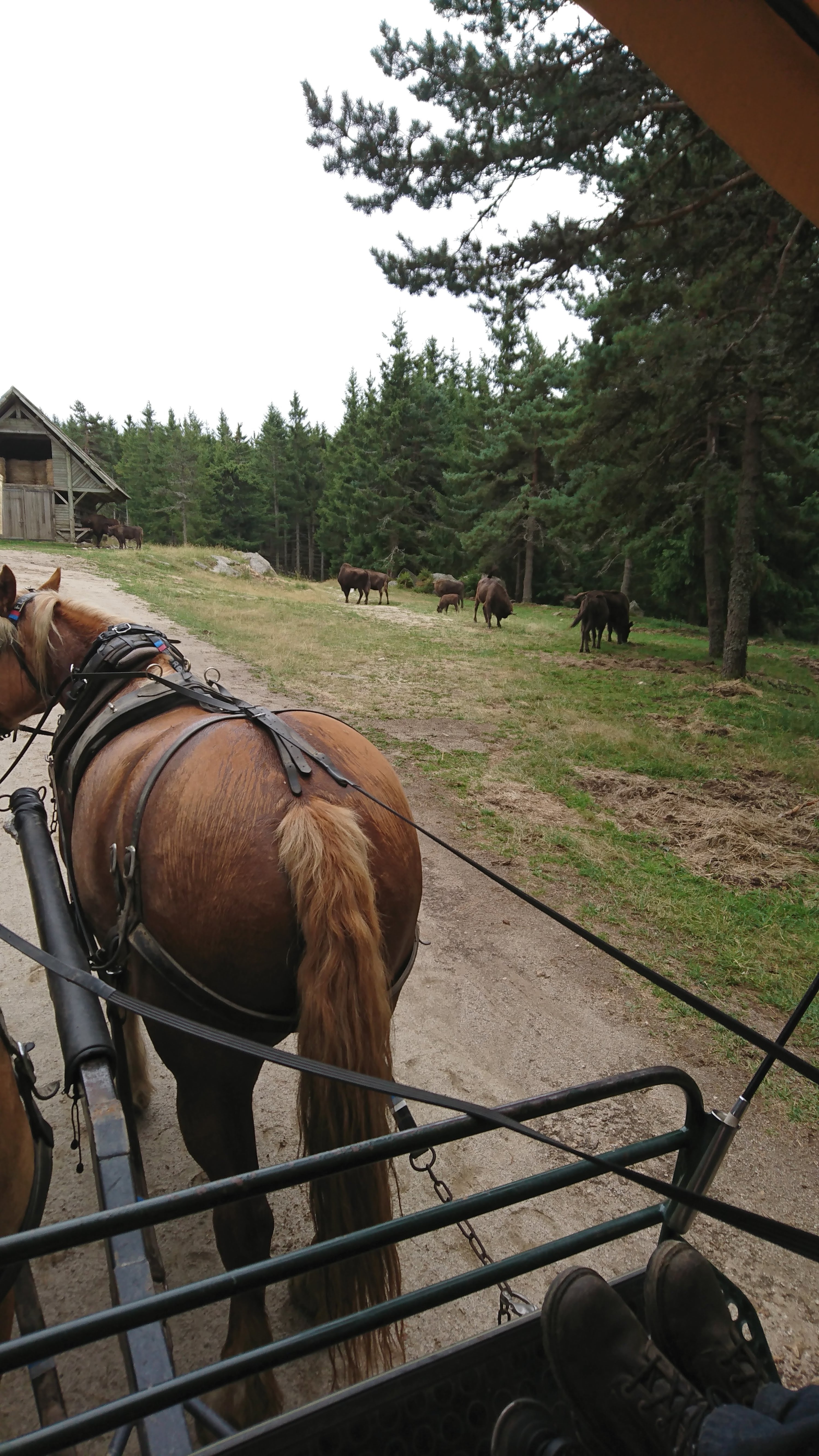 Photo n° 5 de l'avis de Bernard.l fait le 16/08/2019 à 10:01