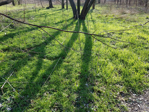 Recreation Center «Oak Point Recreation Center», reviews and photos, 6000 Jupiter Rd, Plano, TX 75074, USA