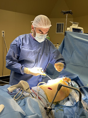 Dr Olivier Nicolas Pagès à Cornebarrieu