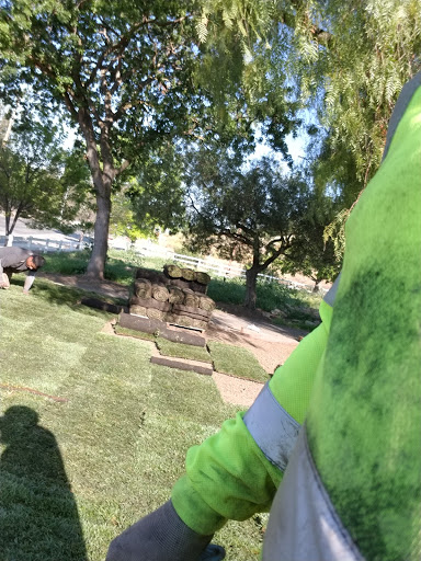 Live Music Venue «Concord Pavilion», reviews and photos, 2000 Kirker Pass Rd, Concord, CA 94521, USA