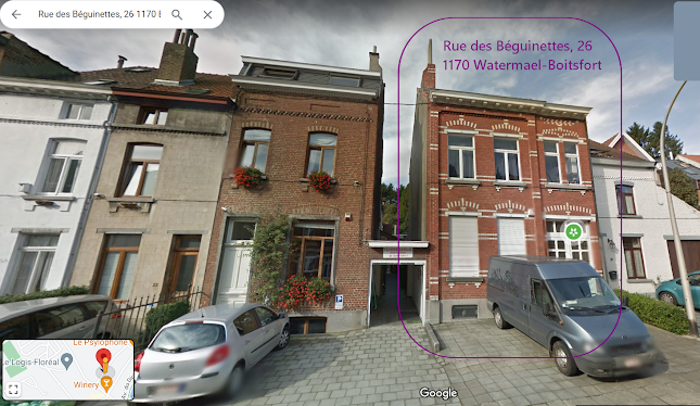 Aime Vis Danse Biodanza Brussels - Vereniging