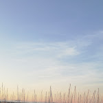 Photo n°1 de l'avis de M..l fait le 15/08/2019 à 14:48 sur le  Desiderio al Molo 71 à Ancona