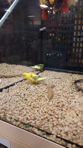 Pet Supply Store «PetSmart», reviews and photos, 6019 Wade Hampton Blvd, Taylors, SC 29687, USA