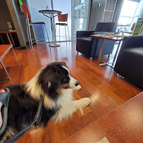 Subaru Service - Photo 2 - Car repair in Clarksville, TN, Clarksville