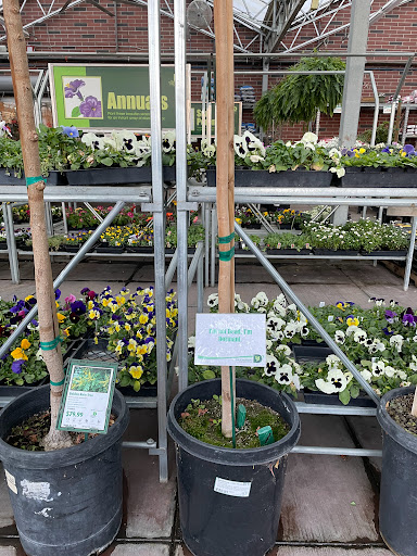 Hardware Store «Dale Hardware Inc», reviews and photos, 3700 Thornton Ave, Fremont, CA 94536, USA