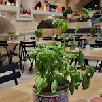 Photo n°2 de l'avis de Alice.i fait le 29/05/2023 à 19:04 sur le  Il Quadrifoglio - Polignano a Mare à Polignano a Mare