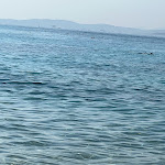 Photo n°1 de l'avis de Salvatore.o fait le 25/08/2023 à 07:48 sur le  Sabbiamare à Arzachena