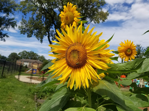 Park «Watkins Park», reviews and photos, 2360 Doctor M.L.K. Jr St, Indianapolis, IN 46208, USA