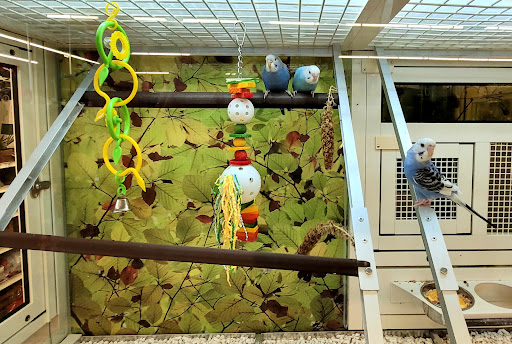 Pet Supply Store «PetSmart», reviews and photos, 917 Holt Rd, Webster, NY 14580, USA