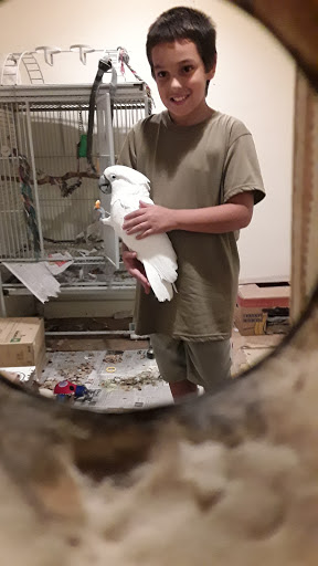 Pet Supply Store «Petco Animal Supplies», reviews and photos, 4440 Rib Mountain Dr, Wausau, WI 54401, USA