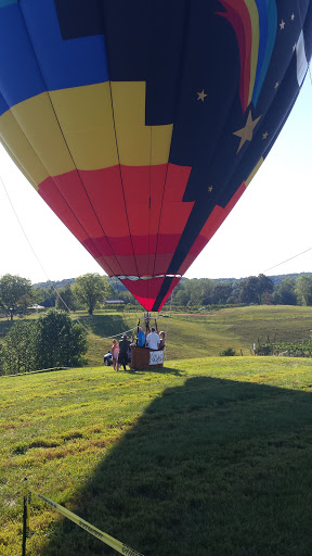 Vineyard «Kaya Vineyard & Winery», reviews and photos, 5400 Town Creek Rd, Dahlonega, GA 30533, USA