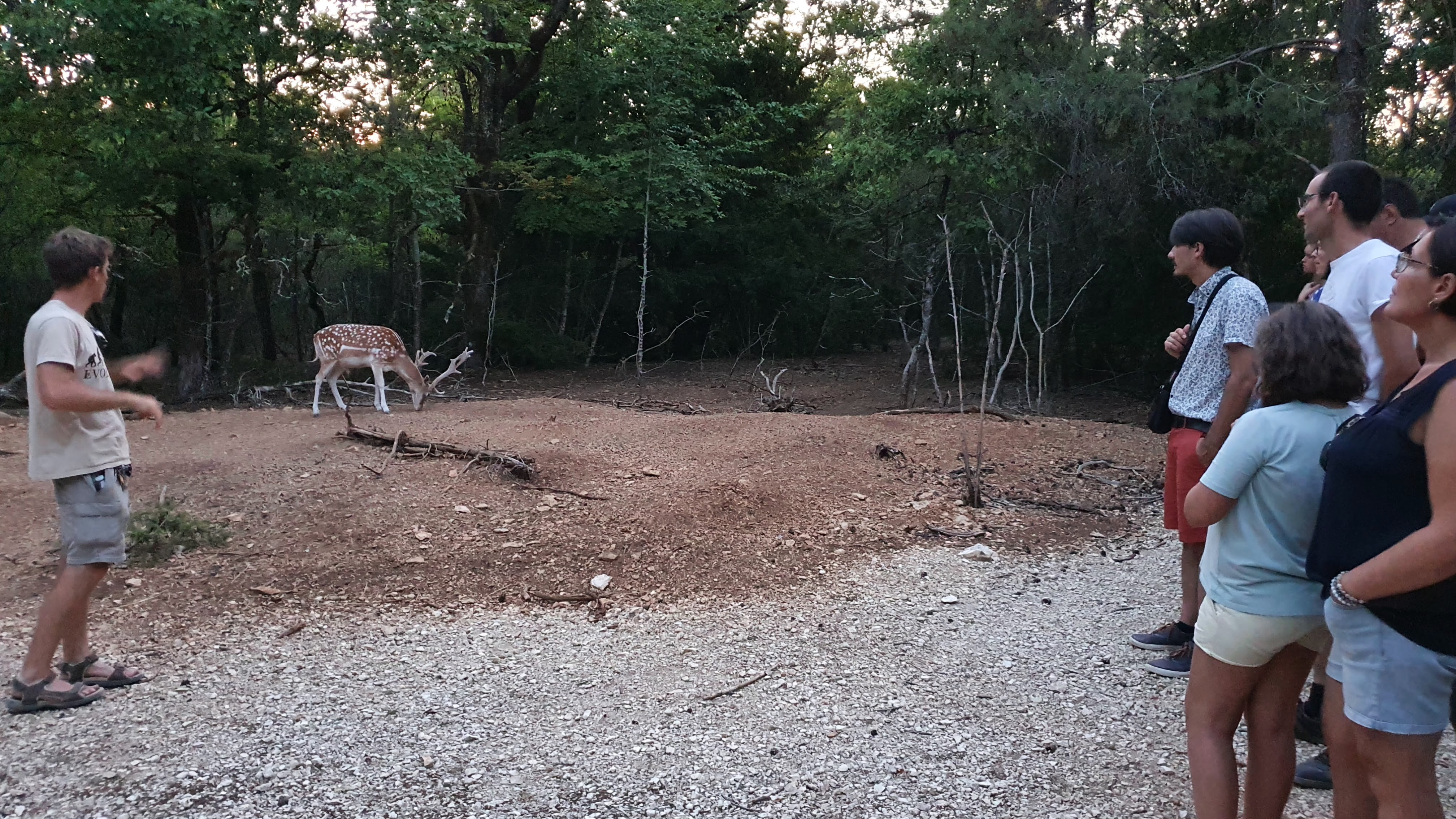 Photo n° 1 de l'avis de Philippe.h fait le 10/08/2022 à 06:20