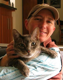 Creature Comforts of Magnolia - Photo 5 - Car repair in , Bellevue