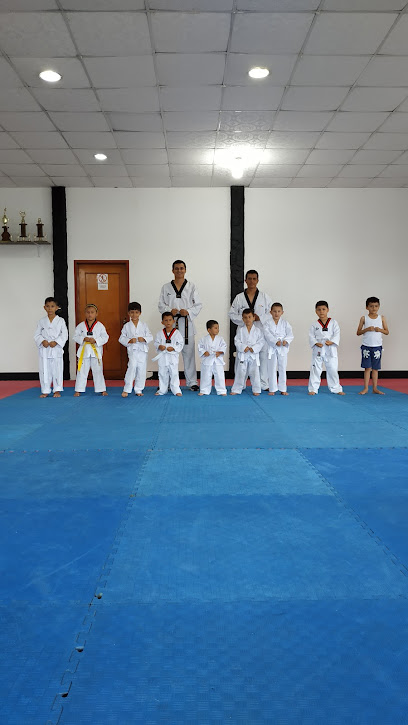 Cheongug Academia de Taekwondo