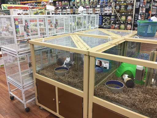 Pet Supply Store «Pet Supermarket», reviews and photos, 835 Blanding Blvd, Orange Park, FL 32065, USA