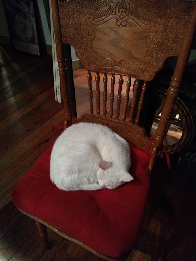 Live Music Venue «Preservation Hall», reviews and photos, 726 St Peter St, New Orleans, LA 70116, USA