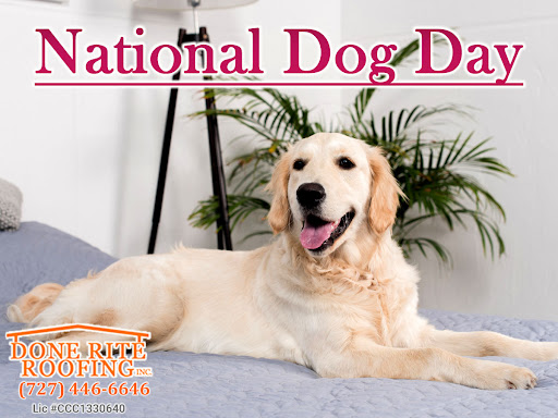 Roofing Contractor «Done Rite Roofing Inc», reviews and photos, 12438 Bristol Commons Cir, Westchase, FL 33626, USA