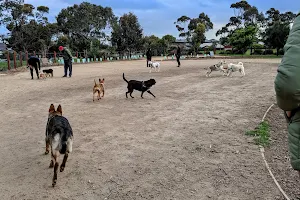 Alf Pearce Reserve Fenced Dog Park image