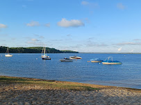 Plage de la Grande Escoure du Restaurant La Conche Lacanau - n°1