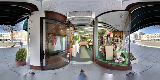 Florist «Blossom Flower Shops», reviews and photos, 275 Mamaroneck Ave, White Plains, NY 10605, USA