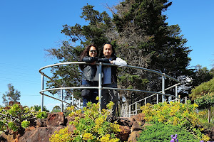 Mornington Botanical Rose Gardens