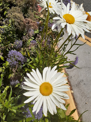 Electronics Store «Best Buy», reviews and photos, 3090 Stevens Creek Blvd, San Jose, CA 95128, USA