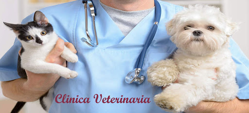 Villa Andreina Veterinary