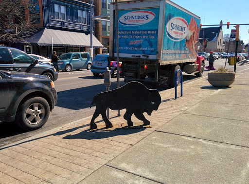 Gift Shop «Everything Elmwood», reviews and photos, 740 Elmwood Ave, Buffalo, NY 14222, USA