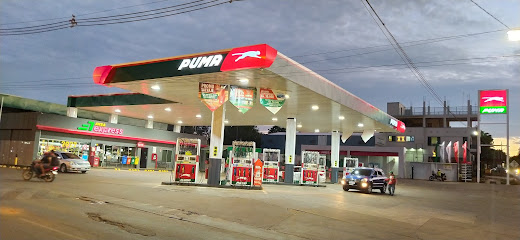 Estación De Servicio Puma ANSA - Santa Ana
