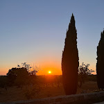 Photo n°6 de l'avis de Sara.i fait le 16/07/2022 à 14:32 sur le  Vilă Torto su colline di Monopoli à Monopoli