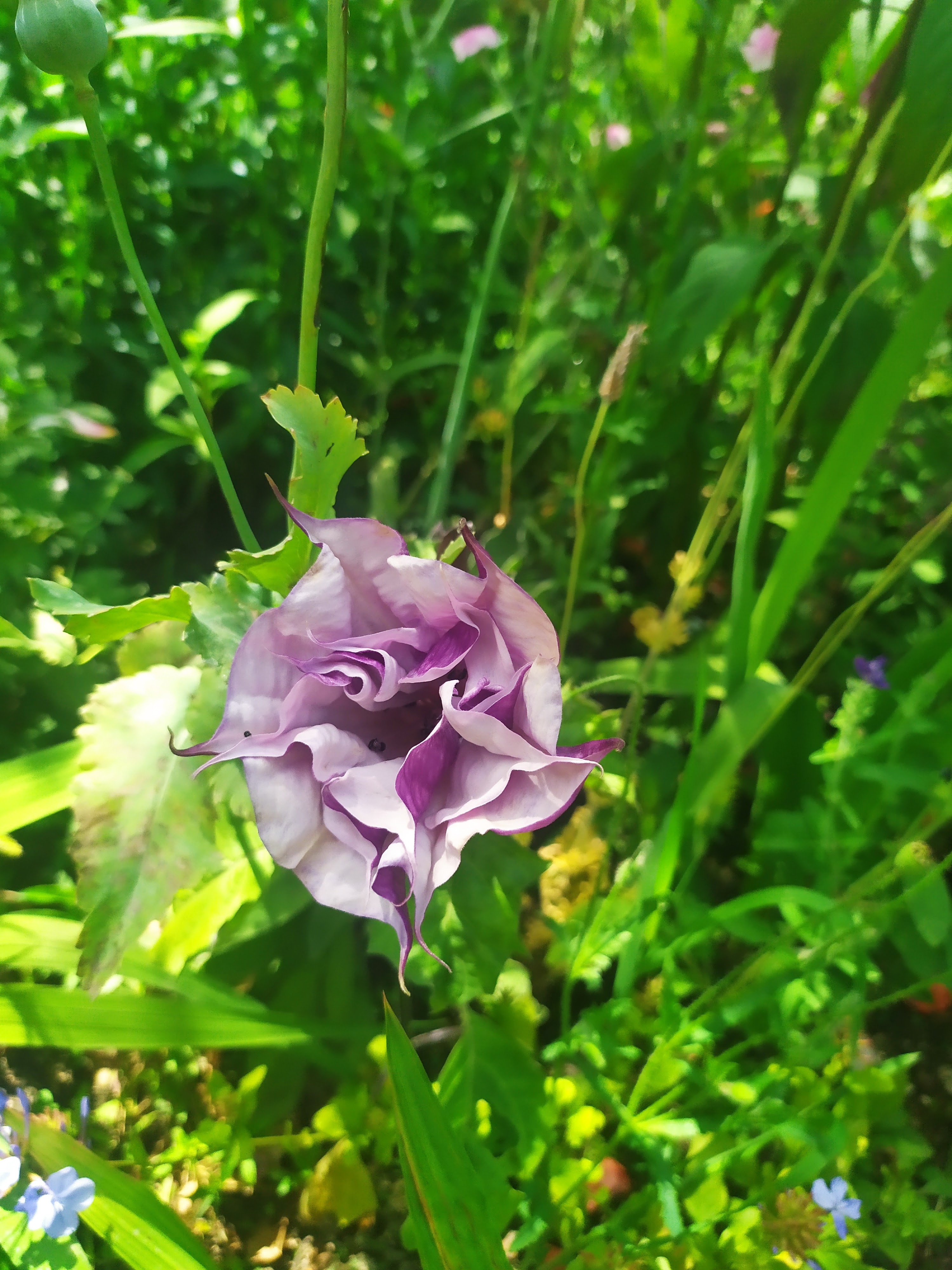 Photo n° 4 de l'avis de Christelle.E fait le 23/06/2022 à 19:09